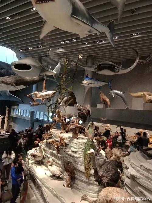 上海自然博物馆旅游攻略（上海自然博物馆攻略2021）