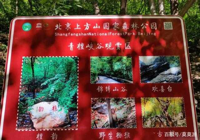 北京森林公园（北京森林公园门票预约）